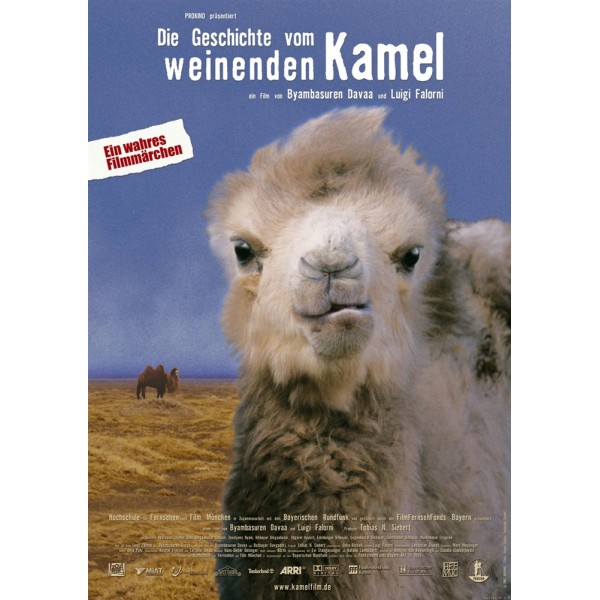 Camelos Também Choram - 2003