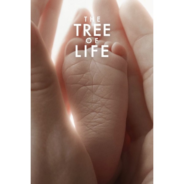 A Árvore da Vida - 2011